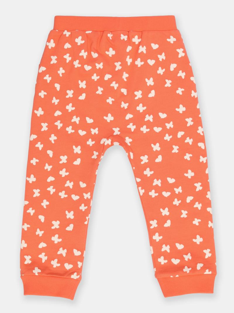 картинка Брюки для девочки CSNG 70321-28-347 Коралловый от магазина детских товаров ALiSa