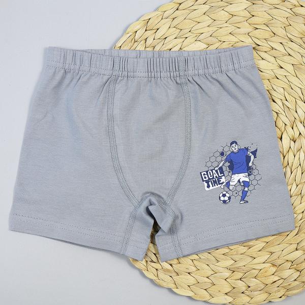 картинка Трусы боксеры для мальчика DR 3352-3341 Серый GOAL от магазина детских товаров ALiSa