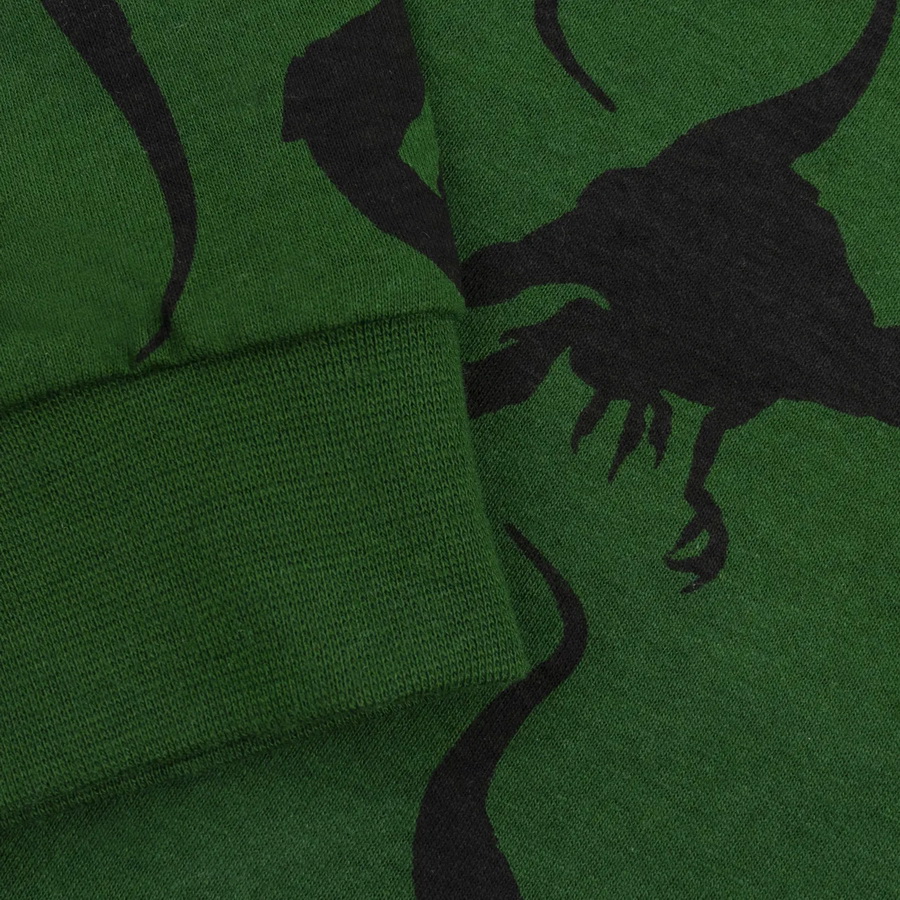 картинка Пижама для мальчика YLA 0936102102 Зеленый динозавры от магазина детских товаров ALiSa