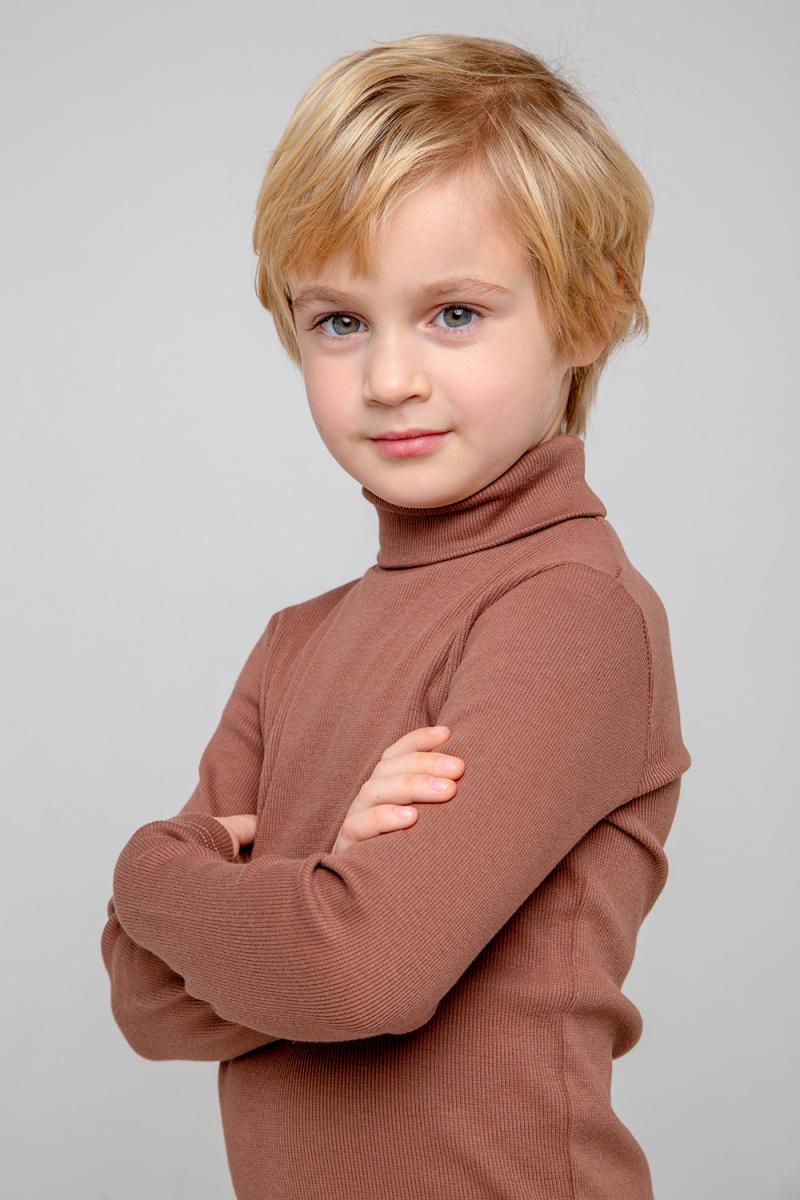 картинка Джемпер для мальчика Crockid КР 3069 коричневый к344 от магазина детских товаров ALiSa