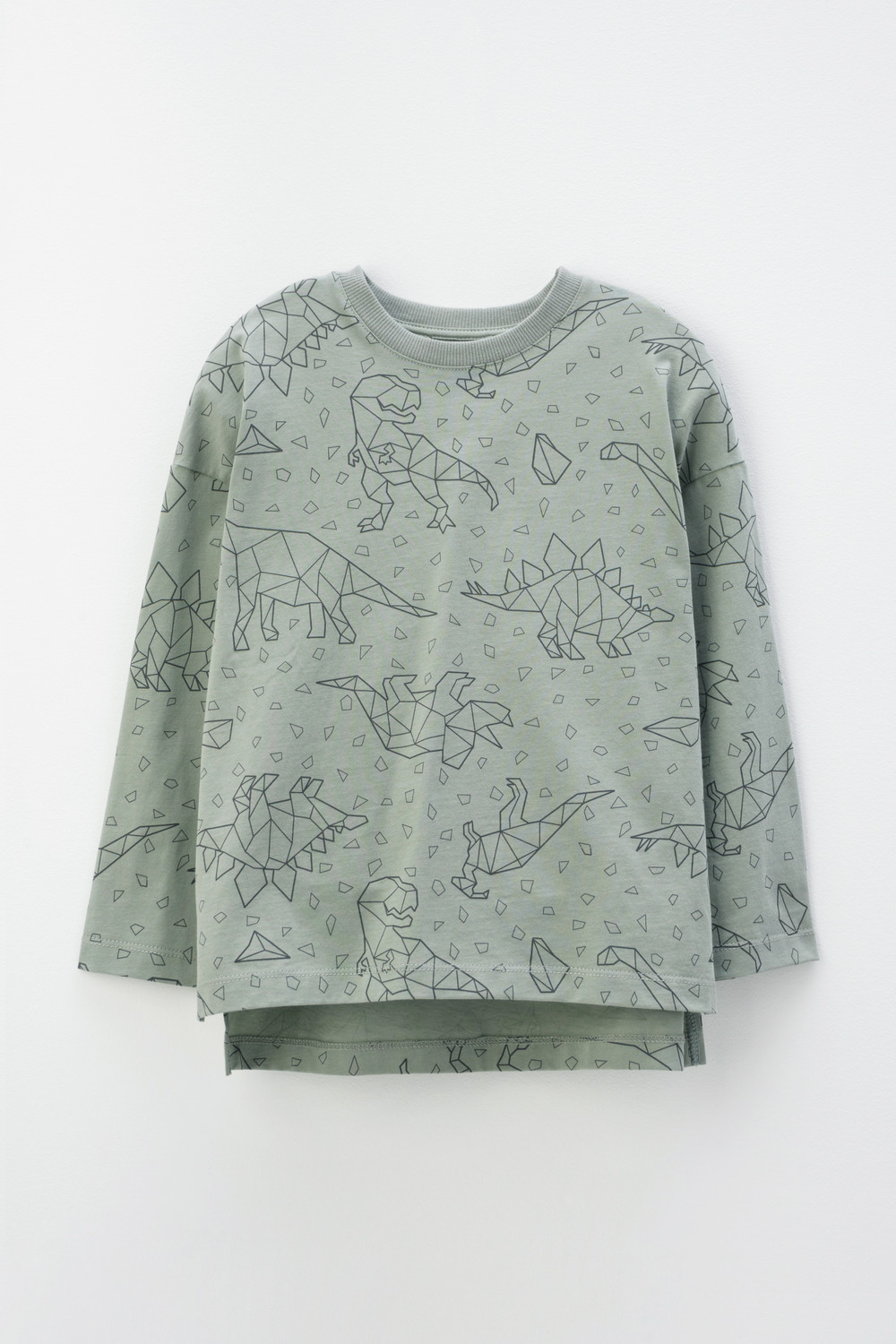 картинка Джемпер для мальчика Crockid КР 302158 зеленый чай, дино к402 от магазина детских товаров ALiSa