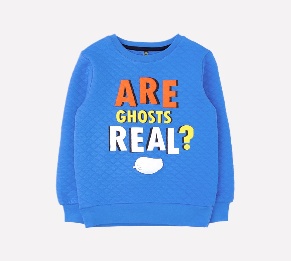 картинка Джемпер для мальчика Crockid КР 301091 ярко-голубой к270 от магазина детских товаров ALiSa