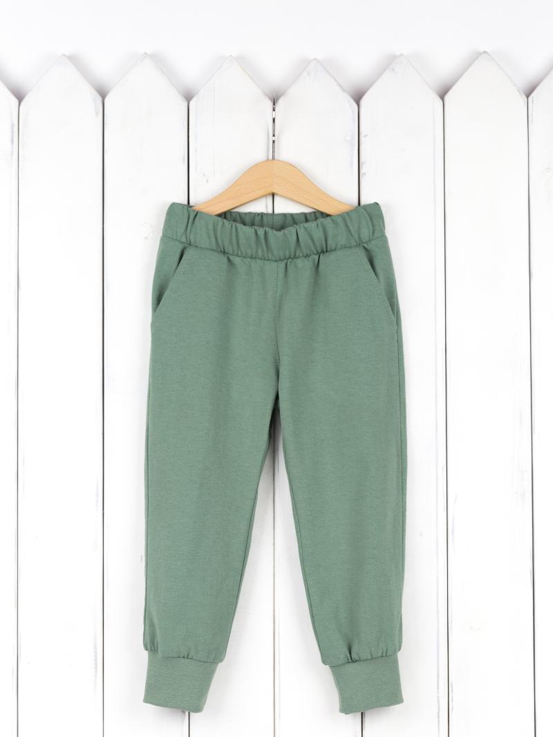 картинка Брюки для мальчика Baby Boom П91/5-К Темная Полынь от магазина детских товаров ALiSa