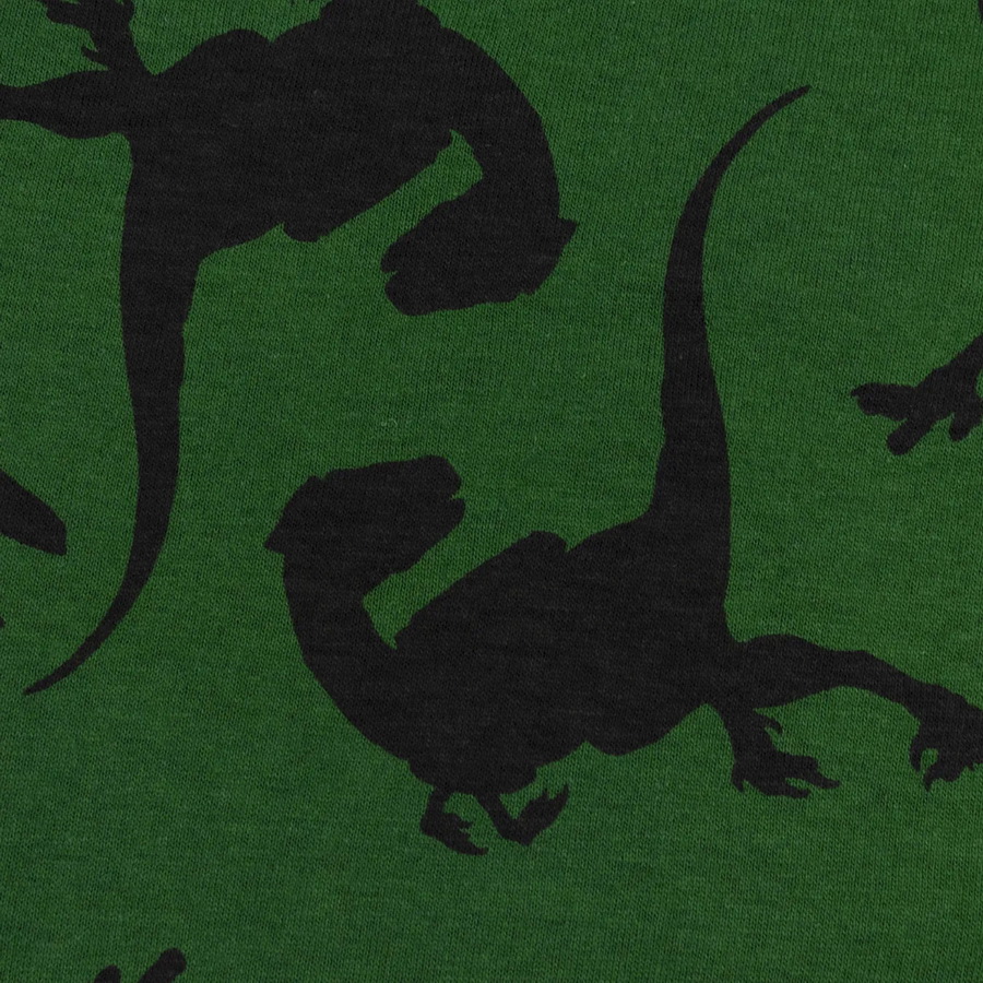 картинка Пижама для мальчика YLA 0936102102 Зеленый динозавры от магазина детских товаров ALiSa