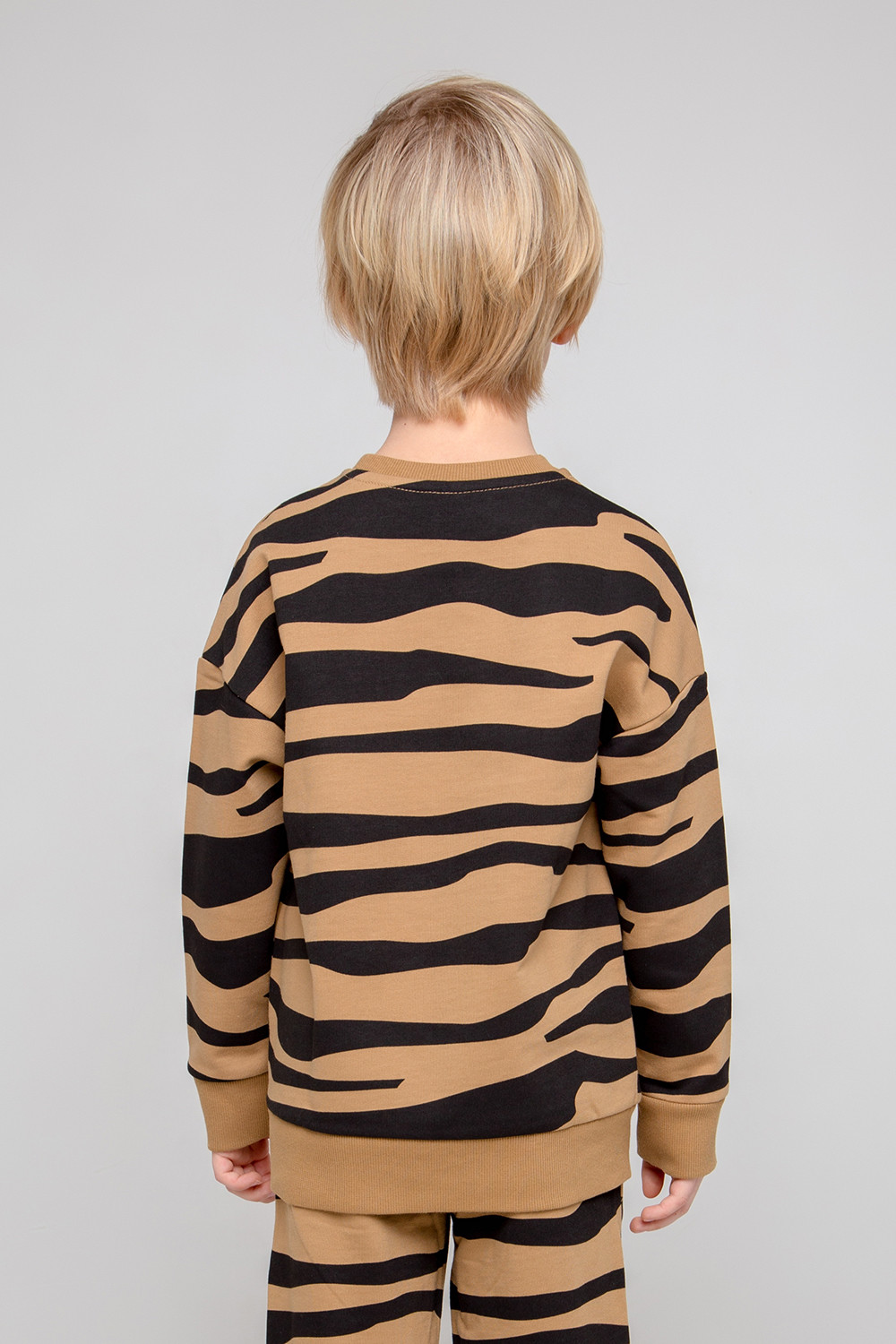 картинка Джемпер для мальчика Crockid КР 301889/1 коричневый хаки, зебра к352 от магазина детских товаров ALiSa