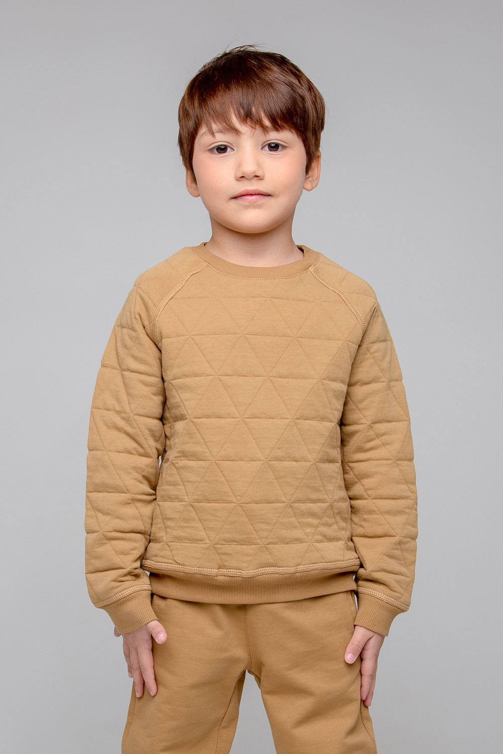 картинка Джемпер для мальчика Crockid КР 301884/1 коричневый хаки к352 от магазина детских товаров ALiSa