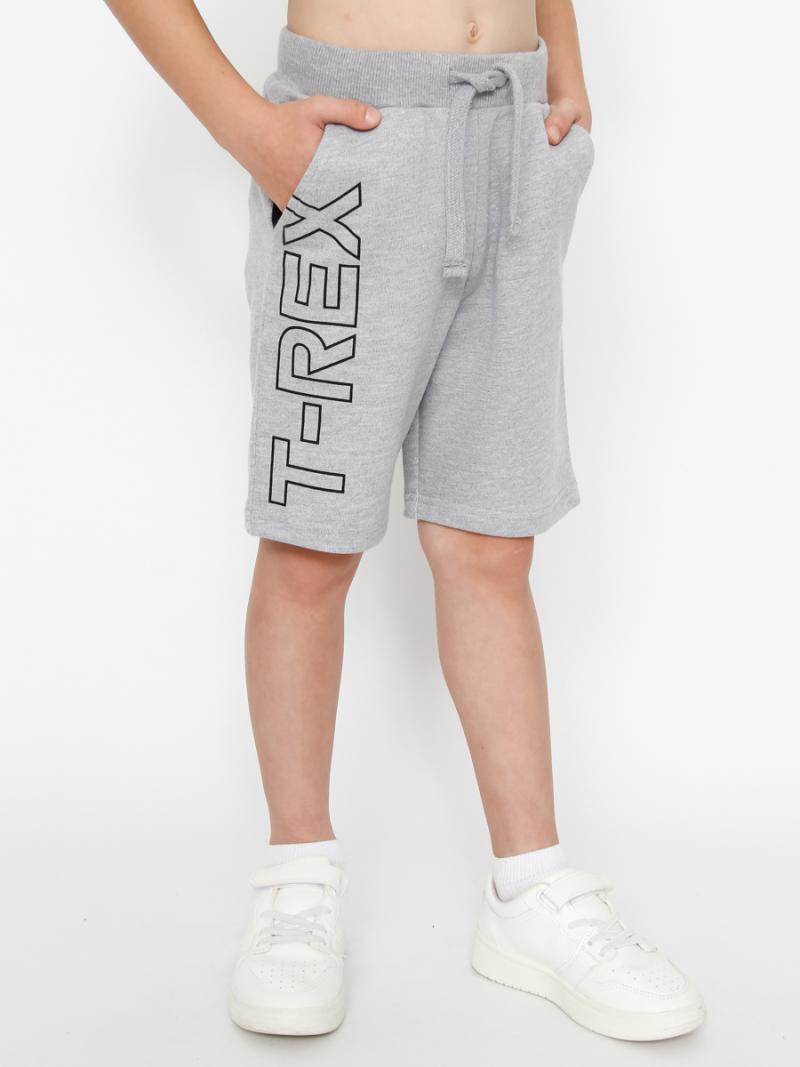 картинка Шорты для мальчика CWKB 70444-11-387 Серый меланж от магазина детских товаров ALiSa