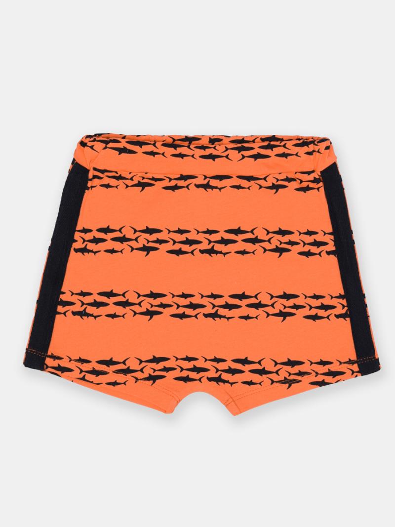 картинка Шорты для мальчика CSBB 70392-29-380 Оранжевый от магазина детских товаров ALiSa