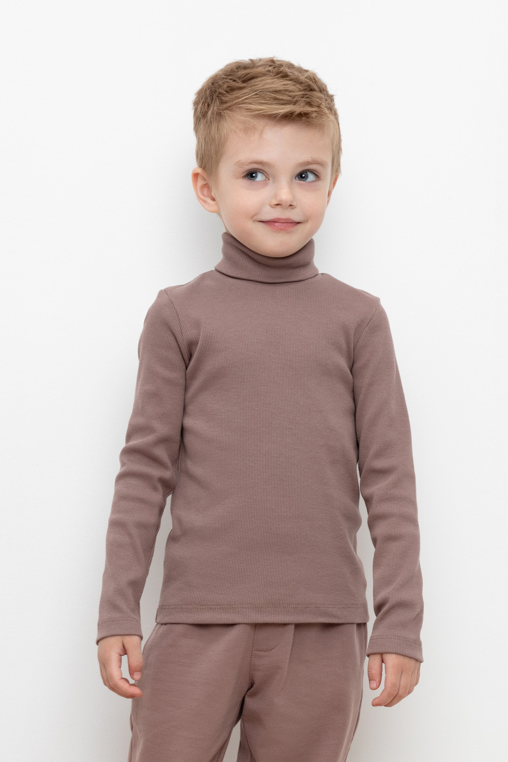 картинка Джемпер для мальчика Crockid КР 301477 капучино к412 от магазина детских товаров ALiSa