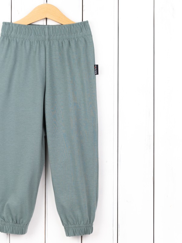 картинка Брюки для мальчика Baby Boom П130/3 Темный шалфей от магазина детских товаров ALiSa