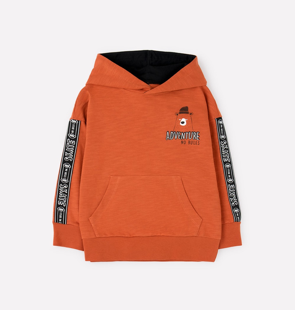 картинка Джемпер для мальчика Crockid КР 301473 кирпичный к304 от магазина детских товаров ALiSa