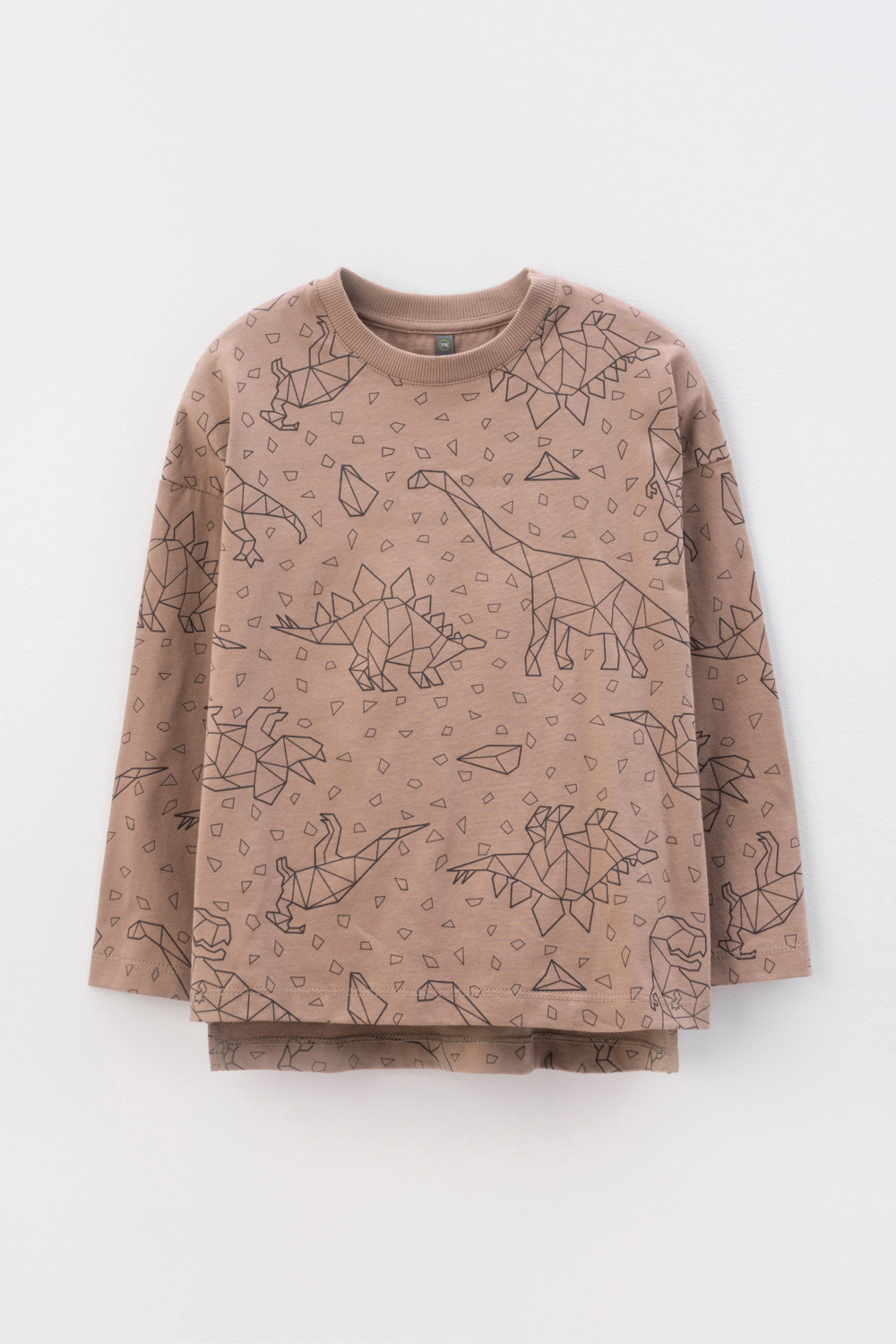картинка Джемпер для мальчика Crockid КР 302158 холодный какао, динозавры к402 от магазина детских товаров ALiSa