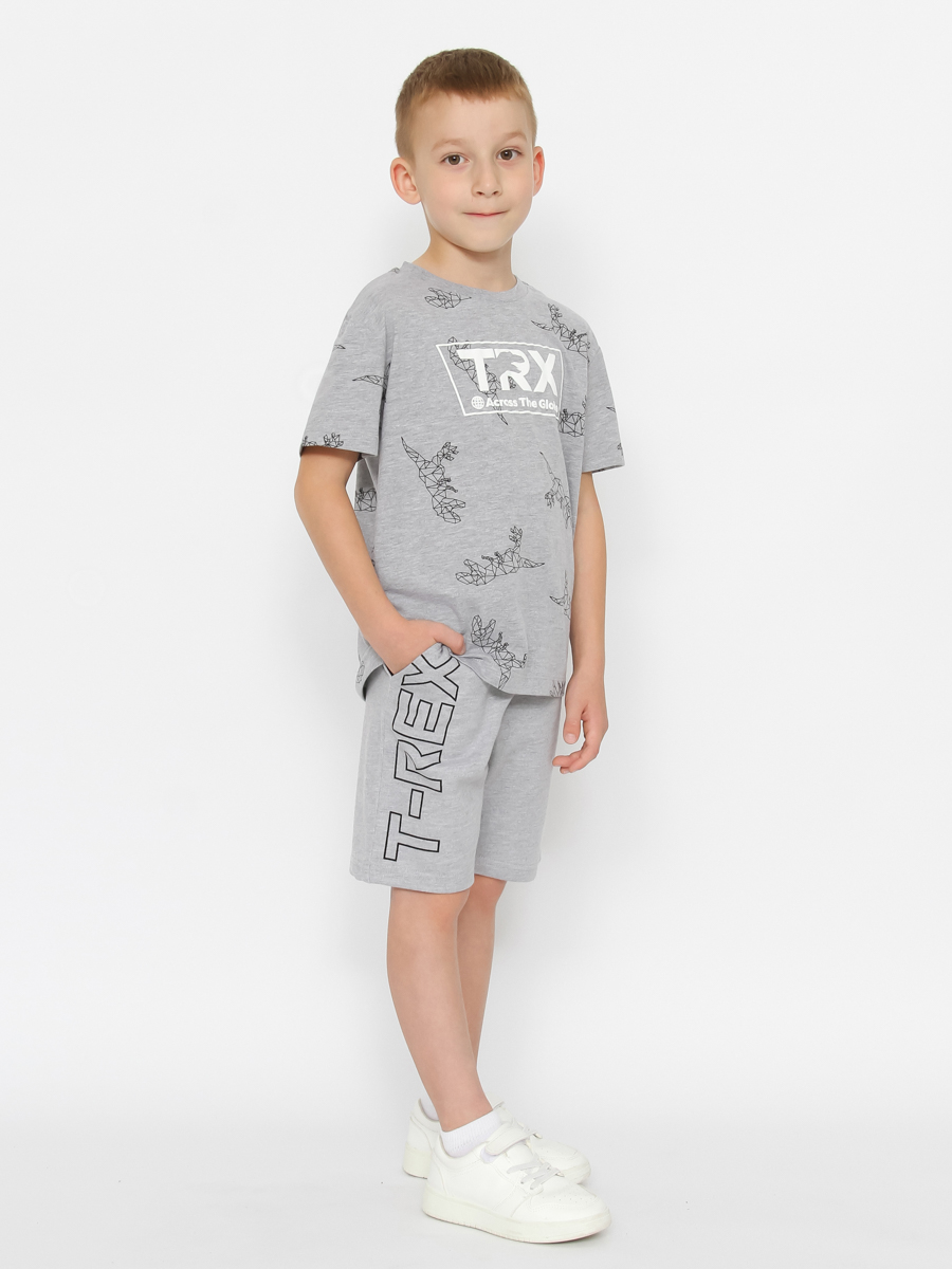 картинка Футболка для мальчика Cherubino CWKB 63704-11-387 Серый меланж от магазина детских товаров ALiSa