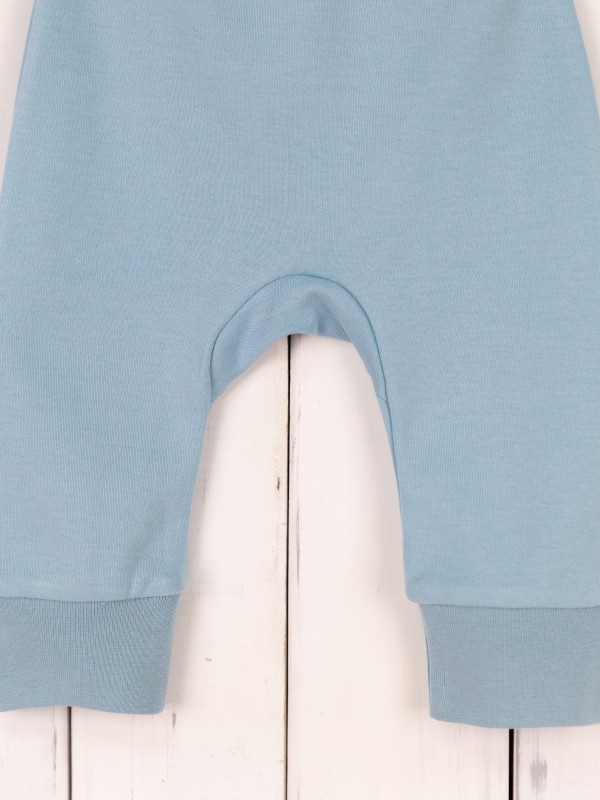 картинка Брюки Baby Boom П60/99-5-И Незабудка я718 от магазина детских товаров ALiSa