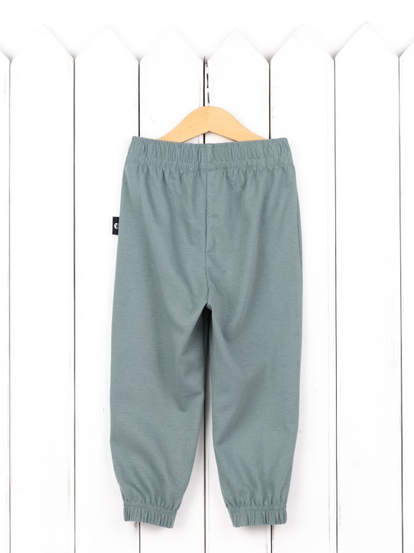 картинка Брюки для мальчика Baby Boom П130/3 Темный шалфей от магазина детских товаров ALiSa