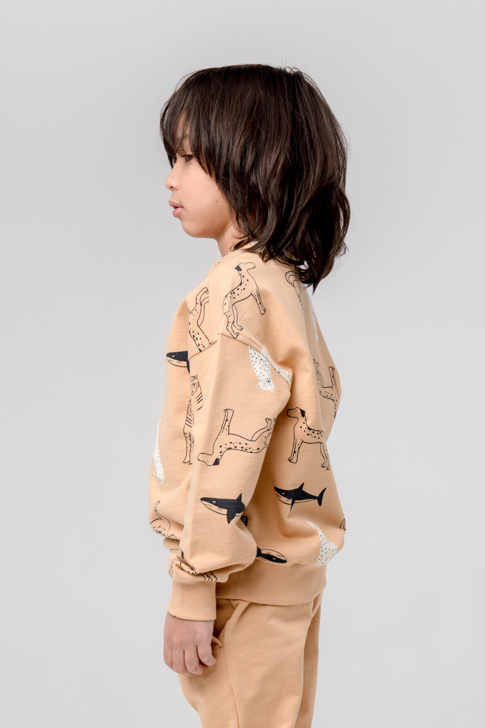 картинка Джемпер для мальчика Crockid КР 302024 итальянский песок, мир животных к384 от магазина детских товаров ALiSa