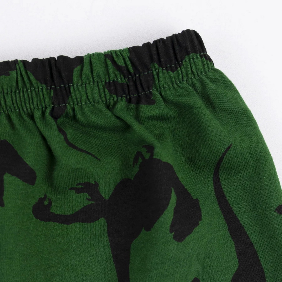 картинка Пижама для мальчика YLA 0936102102 Зеленый динозавры от магазина детских товаров ALiSa