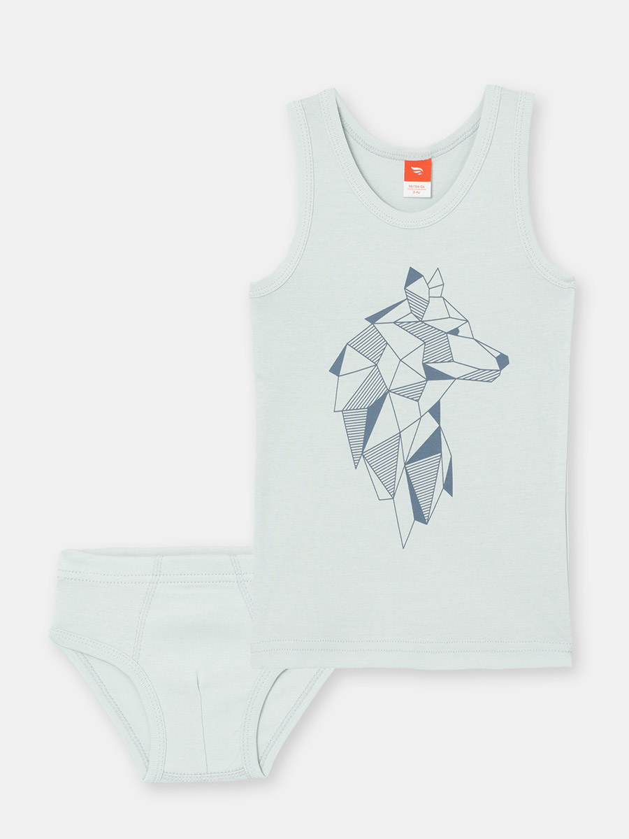 картинка Комплект для мальчика CWKB 30019-23 Серый от магазина детских товаров ALiSa