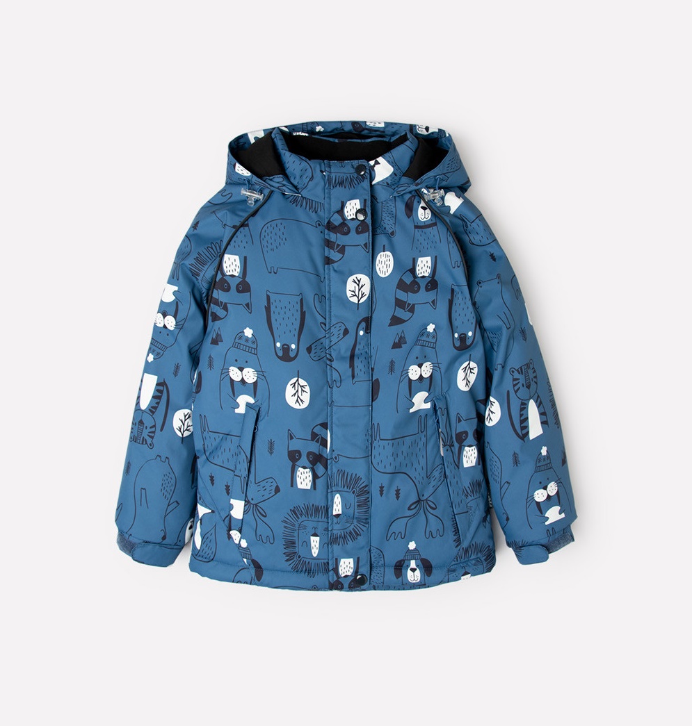 картинка Куртка зимняя для мальчика Crockid ВК 36057/н/2 ГР от магазина детских товаров ALiSa