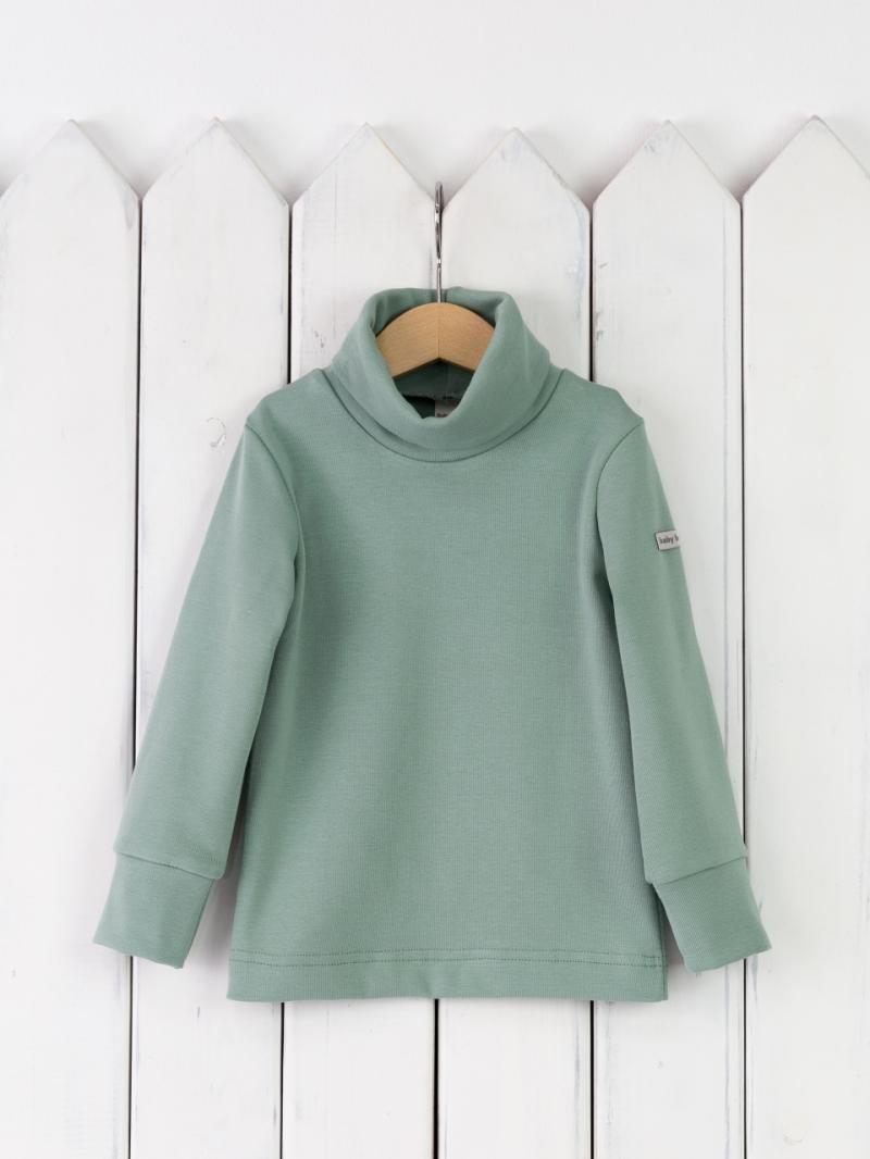 картинка Водолазка детская Baby Boom Ф74/2-Р Полынь от магазина детских товаров ALiSa