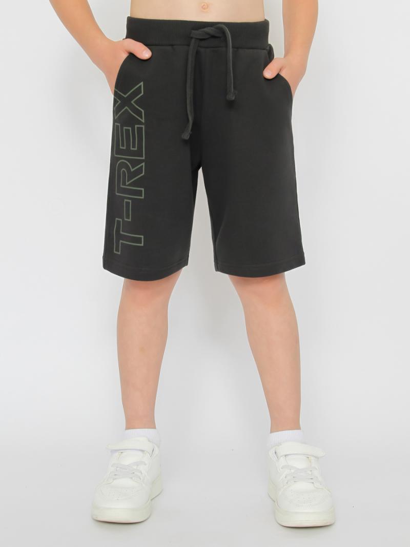 картинка Шорты для мальчика CWKB 70444-48-387 Темно-серый от магазина детских товаров ALiSa