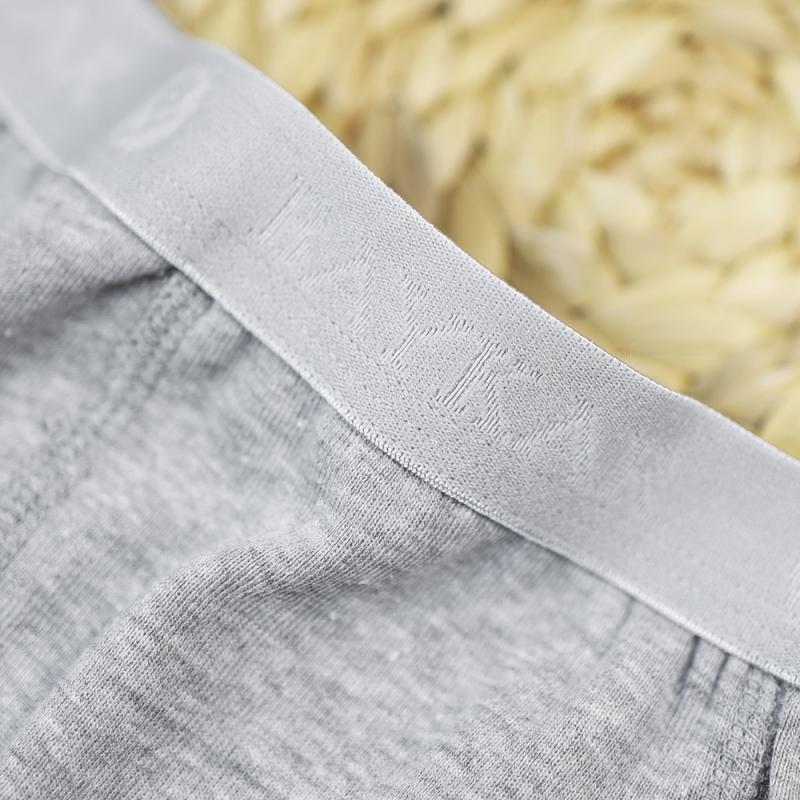 картинка Трусы боксеры для мальчика DR 3310-201 Серый от магазина детских товаров ALiSa