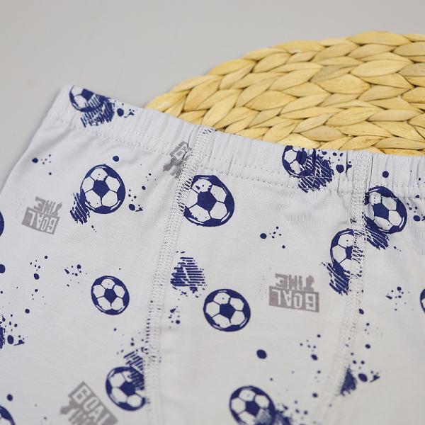 картинка Трусы боксеры для мальчика DR 3352-3341 Светло-серый Мячи от магазина детских товаров ALiSa