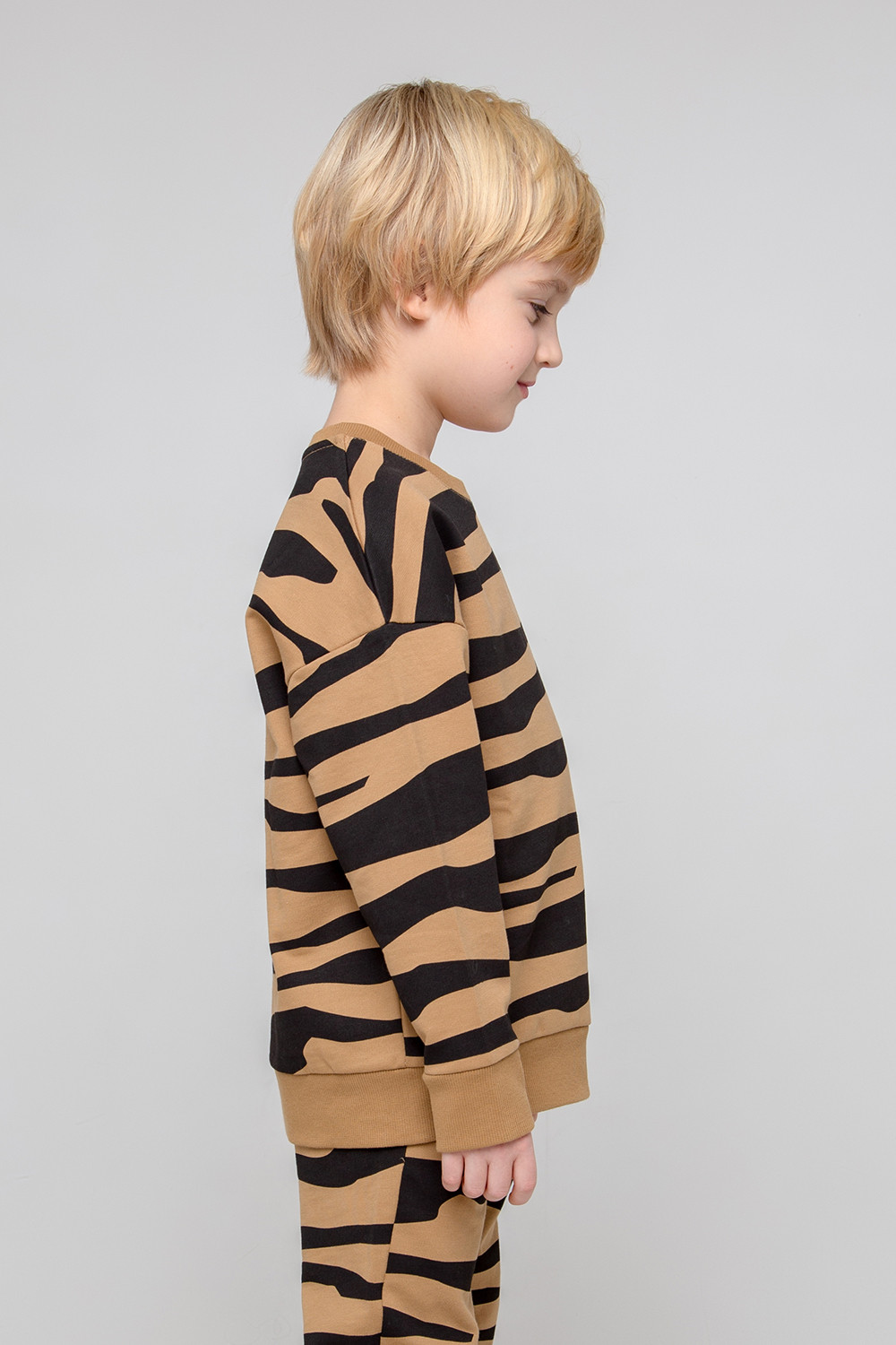 картинка Джемпер для мальчика Crockid КР 301889 коричневый хаки, зебра к352 от магазина детских товаров ALiSa