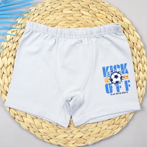 Трусы боксеры для мальчика DR 3360-7901 Серый Kick