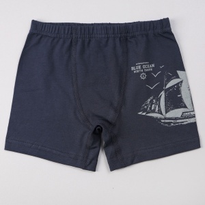Трусы боксеры для мальчика DR 3672-991 Синий корабль