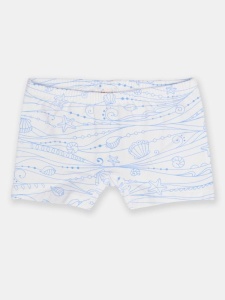 Трусы для девочки CSKG 10172-43 Голубой