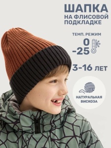 Шапка зимняя для мальчика NIKASTYLE 11з16125 Кэмел Черный