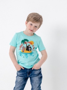 Футболка для мальчика CSKB 63095-40-315 Бирюзовый