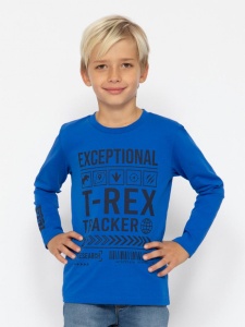 Джемпер для мальчика CWKB 63711-42-387 Синий