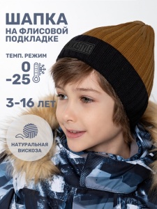 Шапка зимняя для мальчика NIKASTYLE 11з16124 Горчица