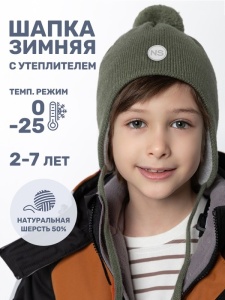 Шапка утепленная для мальчика NIKASTYLE 11з15424 Полынь