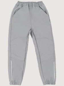 Брюки Софтшелл NIKASTYLE 2л17225 Серый