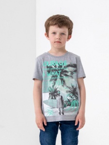 Футболка для мальчика CSJB 63115-11-320 Светло-серый меланж