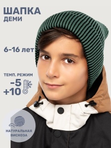 Шапка для мальчика NIKASTYLE 11м11125 Эвкалипт черный