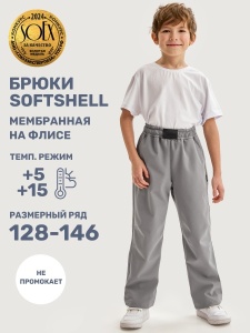 Брюки Софтшел NIKASTYLE 2л19125 Серый