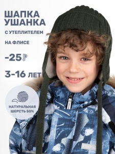 Шапка ушанка утепленная для мальчика NIKASTYLE 11з15924 Полынь