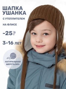 Шапка ушанка утепленная для мальчика NIKASTYLE 11з15924 Орех