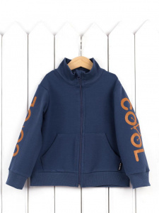 Куртка для мальчика Baby Boom Р56/1-Ф Б105 Синий COOL
