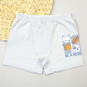 Трусы боксеры для мальчика DR 3362-991 Серый мячи Hero