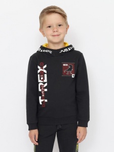 Толстовка для мальчика CWKB 63707-48-387 Темно-серый