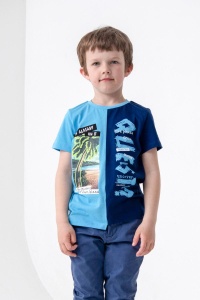 Футболка для мальчика CSKB 63097-43-315 Голубой