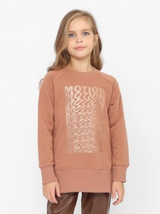 Джемпер для девочки CWJG 63715-33-390 Коричневый