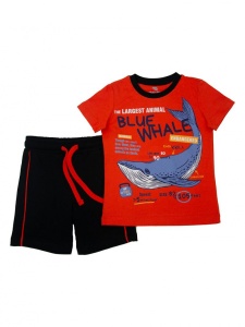 Комплект для мальчика CSKB 90097-26-315 Красный