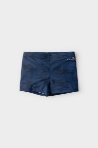 Плавки для мальчика Crockid ТК 19002/18н ХФ