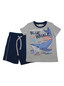 Комплект для мальчика CSKB 90097-11-315 Светло-серый меланж